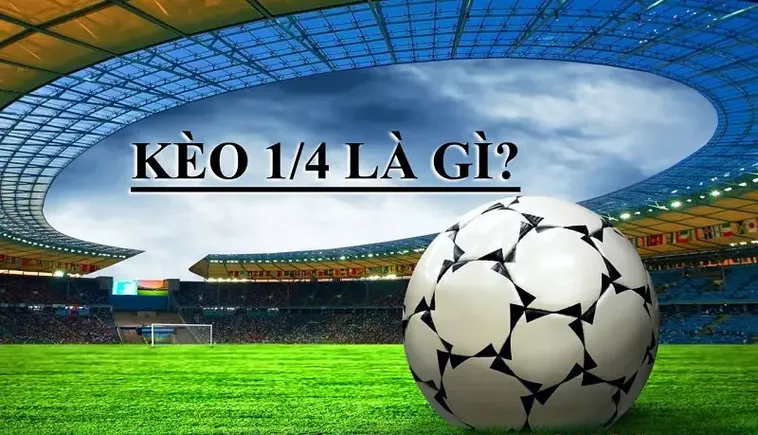 Hướng Dẫn Cách Đọc Kèo Chấp 0.25 Trong Bóng Đá Cho Người Mới Tham Gia