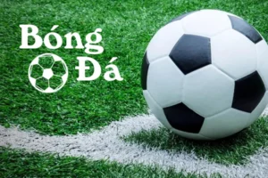 Hướng Dẫn Cách Phân Biệt Bóng Trong Cuộc Và Ngoài Cuộc
