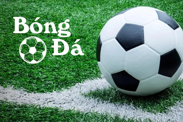 Hướng Dẫn Cách Phân Biệt Bóng Trong Cuộc Và Ngoài Cuộc