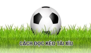 Phương Pháp Soi Kèo Tài Xỉu Dựa Trên Hiệu Suất Ghi Bàn