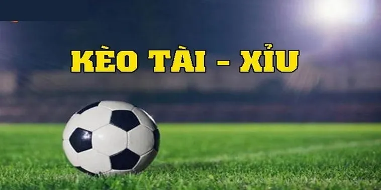 Hướng Dẫn Cách Soi Kèo Tài Xỉu Hiệp 2 Chính Xác Cao