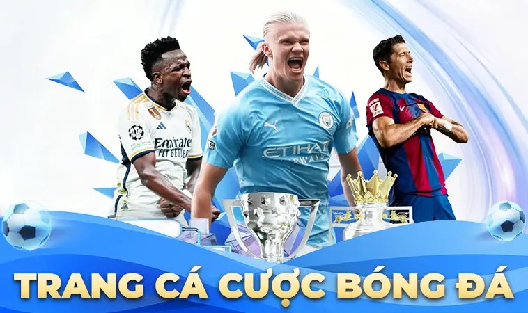 Bật Mí Top Các Trang Cá Cược Bóng Đá Uy Tín Nhất VN Hiện Nay