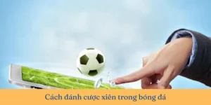 Cách Tính Toán Kèo Xiên Trong Bóng Đá Cho Người Mới Bắt Đầu Hiệu Quả